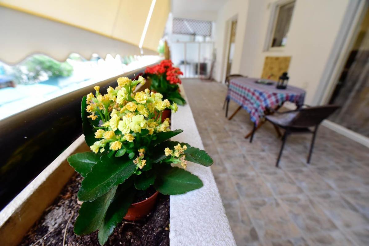 Athens Beauty 5 Minutes From Attractions Apartment Bagian luar foto